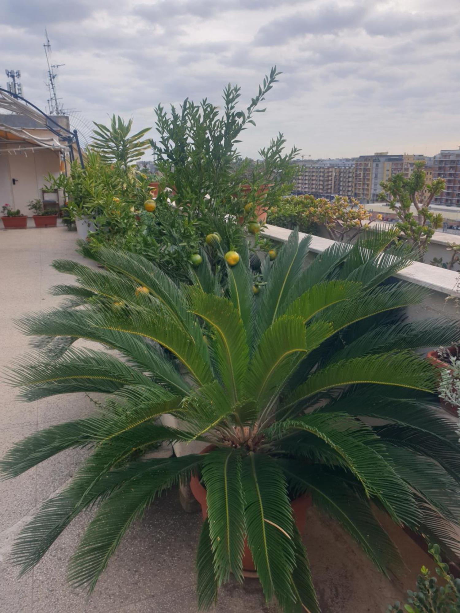 B&B Ganaj La Terrazza Di Ganaj Бари Экстерьер фото