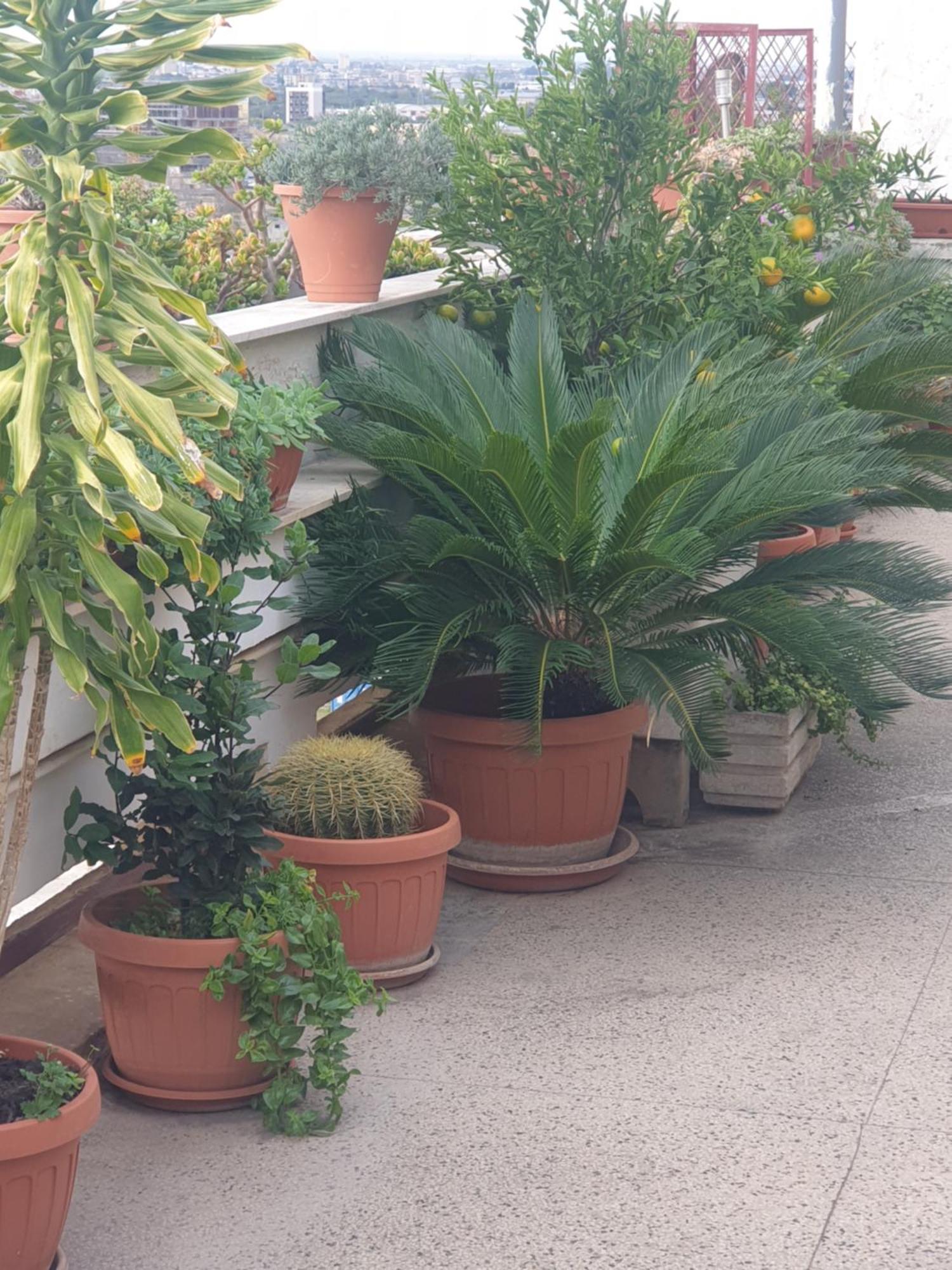 B&B Ganaj La Terrazza Di Ganaj Бари Экстерьер фото